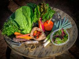 Image of Medium Veg Box with Solidarity donation