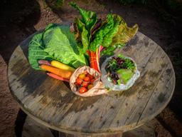 Image of Small Veg Box with Solidarity donation