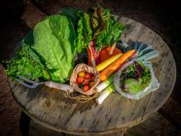 Image of Medium Veg Box (Discounted)