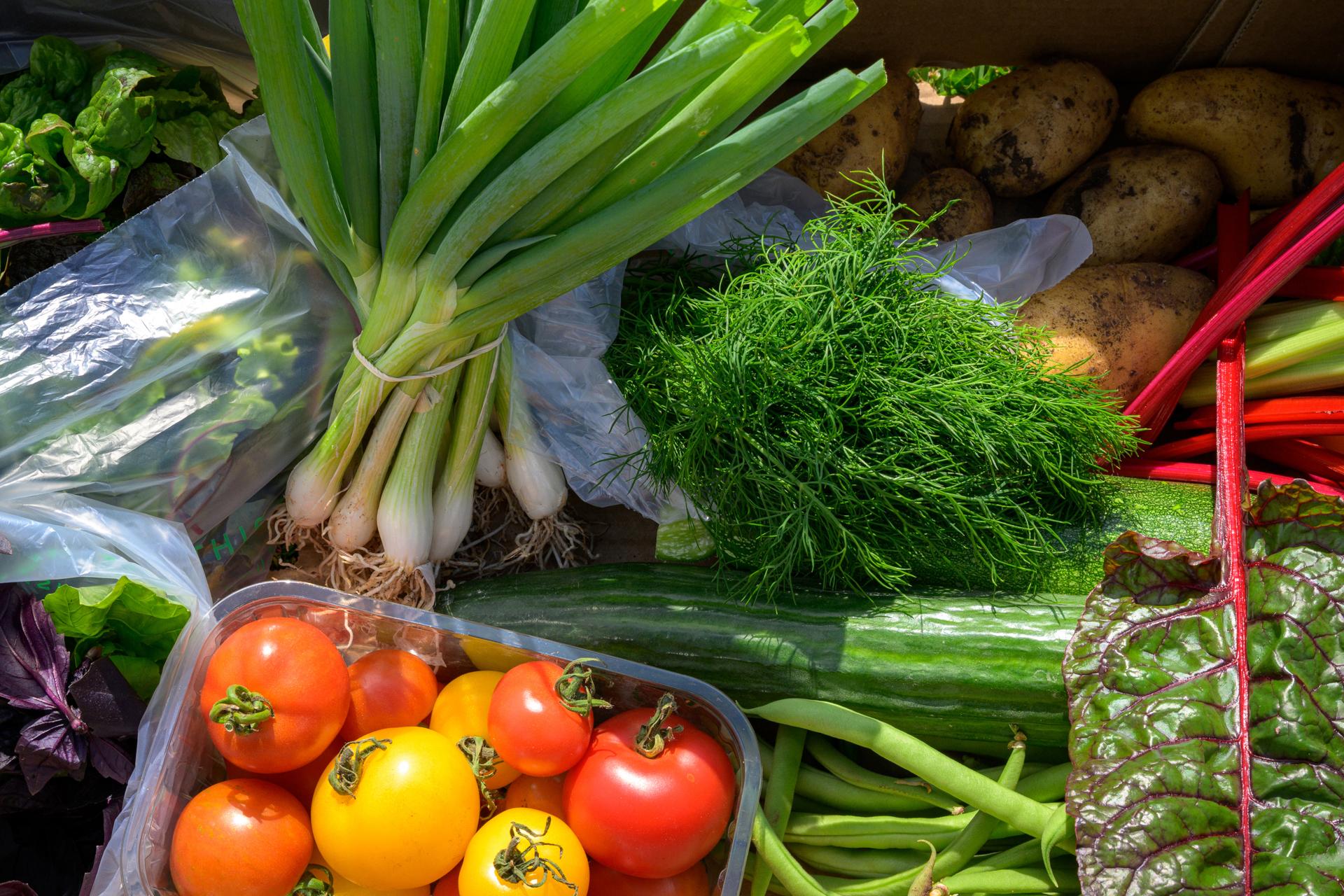 Tyninghame Community Farm
